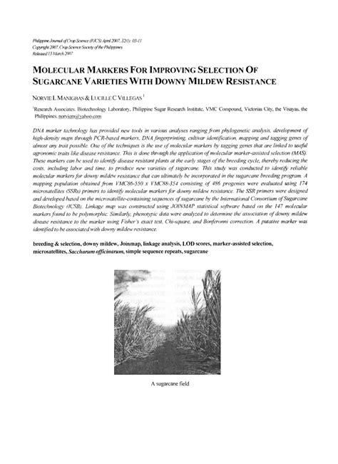 84-524 sugarcane variety|(PDF) MOLECULAR MARKERS FOR IMPROVING .